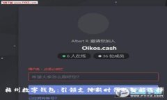 梅州数字钱包：引领支付