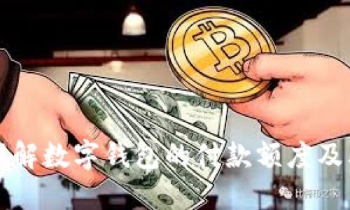 如何正确理解数字钱包的付款额度及其影响因素