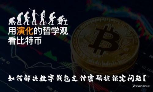 如何解决数字钱包支付密码被锁定问题？