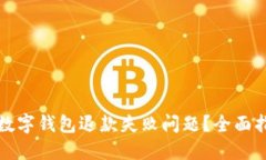 如何解决数字钱包退款失