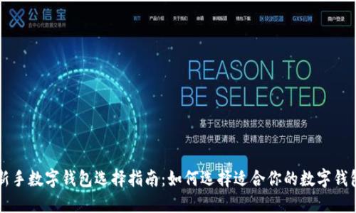 新手数字钱包选择指南：如何选择适合你的数字钱包