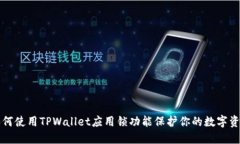 如何使用TPWallet应用锁功能