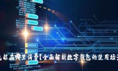 数字钱包能在哪里消费？
