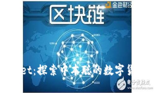 TPWallet：探索中本聪的数字货币之旅