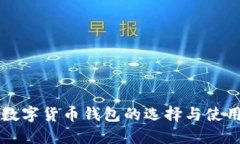 国际数字货币钱包的选择