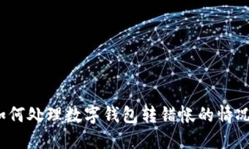 如何处理数字钱包转错帐的情况？