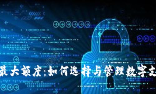 企业数字钱包最大额度：如何选择与管理数字支付的最佳方案
