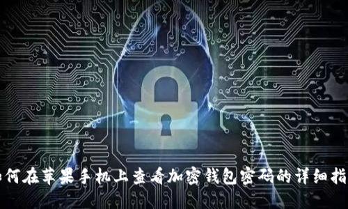 如何在苹果手机上查看加密钱包密码的详细指南