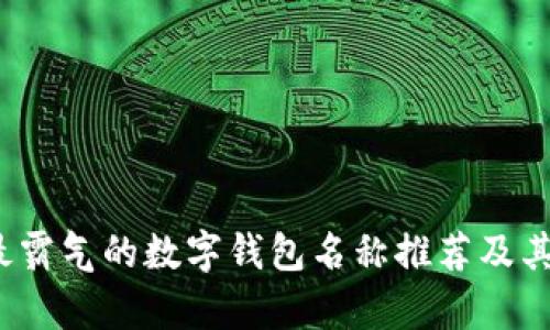 2023年最霸气的数字钱包名称推荐及其优势解析