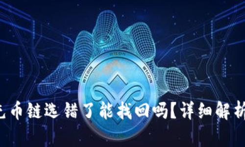 tpwallet充币链选错了能找回吗？详细解析与解决方案