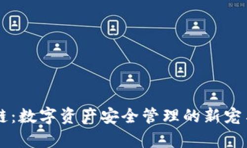 TPWallet链：数字资产安全管理的新宠与优势解析