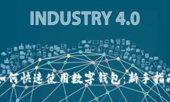 如何快速使用数字钱包：