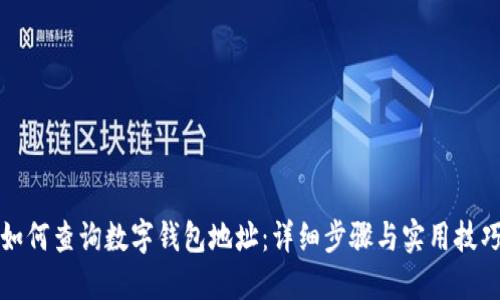 如何查询数字钱包地址：详细步骤与实用技巧