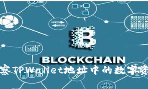  如何观察TPWallet地址中的数字资产变化？