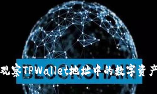  如何观察TPWallet地址中的数字资产变化？