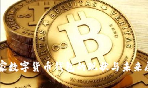 国家数字货币钱包的现状与未来展望