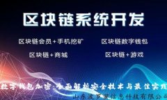 数字钱包加密：全面解析安全技术与最佳实践