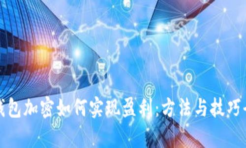 优质钱包加密如何实现盈利：方法与技巧全解析