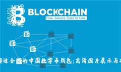 如何选择适合您的中国数