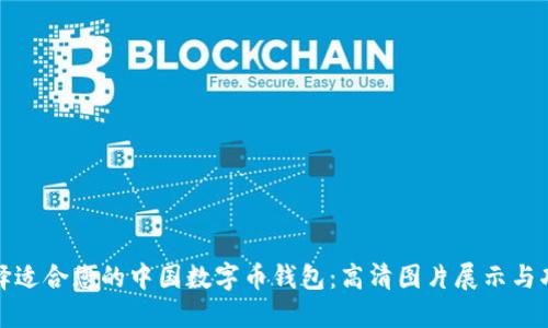 如何选择适合您的中国数字币钱包：高清图片展示与功能详解