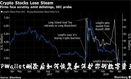 TPWallet删除后如何恢复和保护你的数字资产