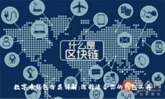 数字币钱包分类详解：选择适合你的钱包工具