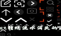 biasotiTPWallet转账流水消失