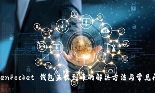 TokenPocket 钱包未收到币的解决方法与常见问题