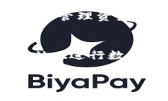 优质  bianji如何在TPWallet中