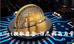如何从TPWallet提取资金：详