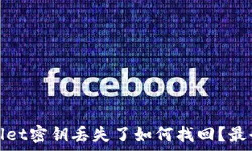   
tpwallet密钥丢失了如何找回？最全指南