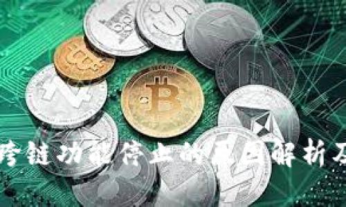 详细介绍

TPWallet跨链功能停止的原因解析及应对策略