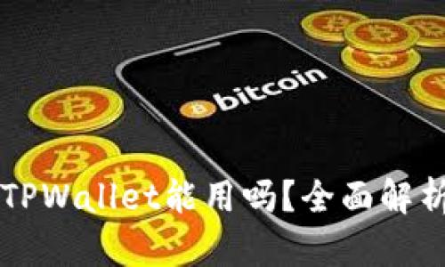 百度下载的TPWallet能用吗？全面解析与使用指南
