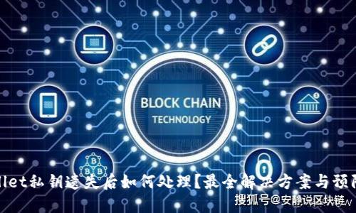 TPWallet私钥遗失后如何处理？最全解决方案与预防措施