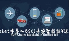 如何在TokenPocket中导入BS