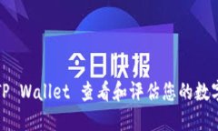 如何通过TP Wallet 查看和评