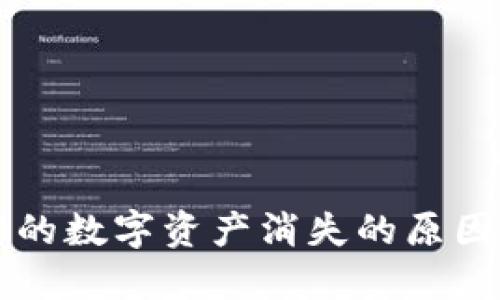TPWallet中的数字资产消失的原因及解决方案