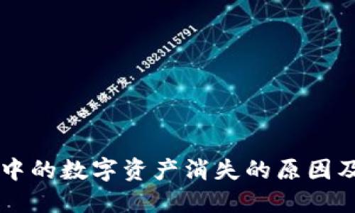 TPWallet中的数字资产消失的原因及解决方案