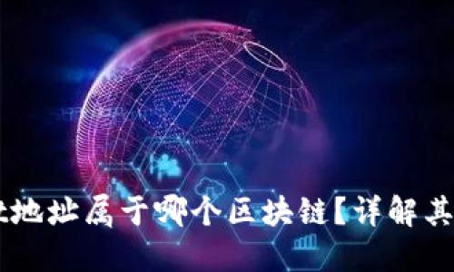 聪本聪币TPWallet地址属于哪个区块链？详解其背后的技术与应用