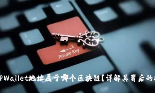 聪本聪币TPWallet地址属于哪个区块链？详解其背后的技术与应用